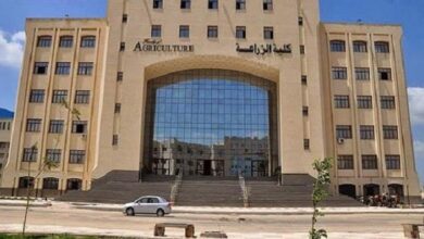 تنسيق كلية الزراعة 2026